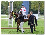 6. dostihy - Memoril RNDr. Juraja Gressnera 