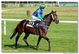 1. dostihy -Cena Tytusa   