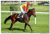 1. dostihy -Cena Tytusa   