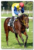 2. dostihy -Hendikep San Roque  