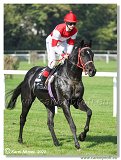 3. dostihy -Hendikep Prierosa 