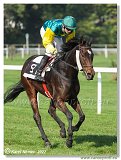 3. dostihy -Hendikep Prierosa 