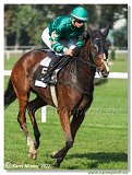 3. dostihy -Hendikep Prierosa 