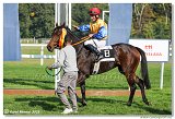 3. dostihy -Hendikep Prierosa 