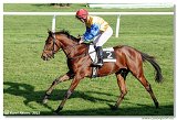 5. dostihy -Memoril Adolfa a Richarda Weissovcov 