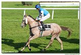 5. dostihy -Memoril Adolfa a Richarda Weissovcov 