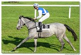 5. dostihy -Memoril Adolfa a Richarda Weissovcov 