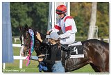 5. dostihy -Memoril Adolfa a Richarda Weissovcov 