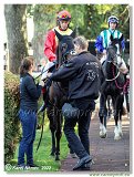 6. dostihy -37. Karpatsk cena RABBIT Trhov tpnov, a.s. 