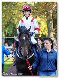 6. dostihy -37. Karpatsk cena RABBIT Trhov tpnov, a.s. 