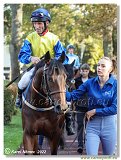 6. dostihy -37. Karpatsk cena RABBIT Trhov tpnov, a.s. 