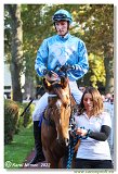 6. dostihy -37. Karpatsk cena RABBIT Trhov tpnov, a.s. 