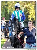 6. dostihy -37. Karpatsk cena RABBIT Trhov tpnov, a.s. 