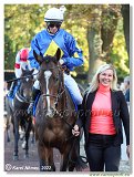 6. dostihy -37. Karpatsk cena RABBIT Trhov tpnov, a.s. 