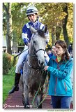 6. dostihy -37. Karpatsk cena RABBIT Trhov tpnov, a.s. 