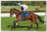 6. dostihy -37. Karpatsk cena RABBIT Trhov tpnov, a.s. 