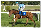 6. dostihy -37. Karpatsk cena RABBIT Trhov tpnov, a.s. 