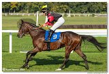 6. dostihy -37. Karpatsk cena RABBIT Trhov tpnov, a.s. 