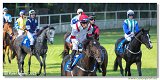 6. dostihy -37. Karpatsk cena RABBIT Trhov tpnov, a.s. 