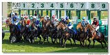6. dostihy -37. Karpatsk cena RABBIT Trhov tpnov, a.s. 