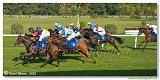 6. dostihy -37. Karpatsk cena RABBIT Trhov tpnov, a.s. 