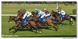 6. dostihy -37. Karpatsk cena RABBIT Trhov tpnov, a.s. 