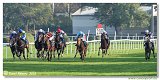6. dostihy -37. Karpatsk cena RABBIT Trhov tpnov, a.s. 