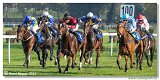 6. dostihy -37. Karpatsk cena RABBIT Trhov tpnov, a.s. 