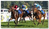 6. dostihy -37. Karpatsk cena RABBIT Trhov tpnov, a.s. 