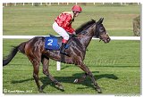 6. dostihy -37. Karpatsk cena RABBIT Trhov tpnov, a.s. 