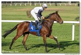 6. dostihy -37. Karpatsk cena RABBIT Trhov tpnov, a.s. 