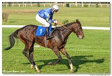 6. dostihy -37. Karpatsk cena RABBIT Trhov tpnov, a.s. 