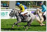Dostihy ponkov s vkou do 125 cm    