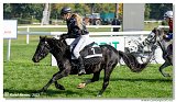 Dostihy ponkov s vkou do 125 cm    