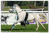 Dostihy ponkov s vkou do 135 cm 