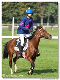 Dostihy ponkov s vkou do 135 cm 