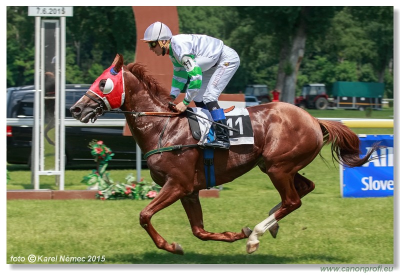 Bratislava - 07. júna 2015 