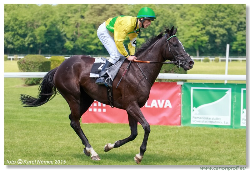 Bratislava - 07. júna 2015 