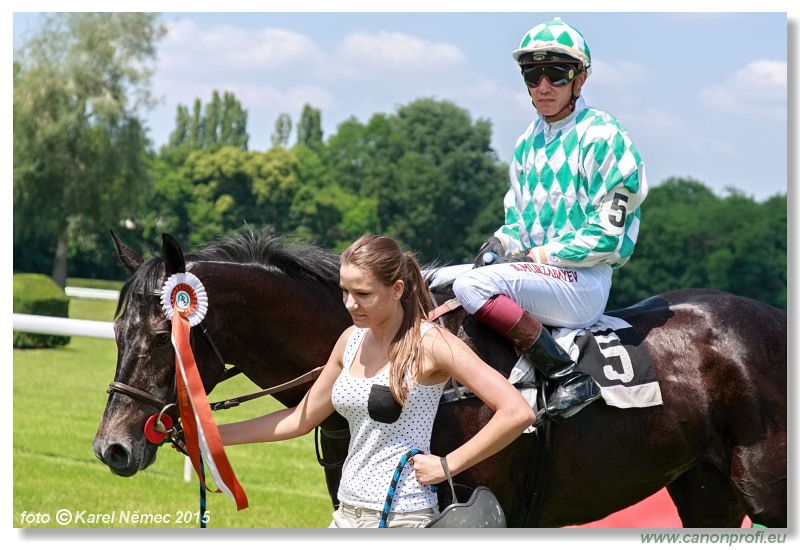 Bratislava - 07. júna 2015 