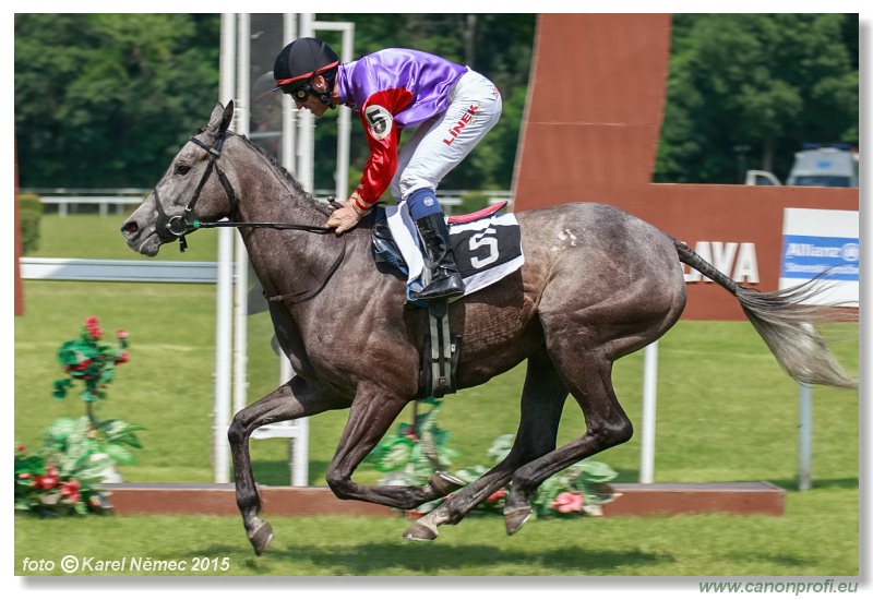 Bratislava - 07. júna 2015 