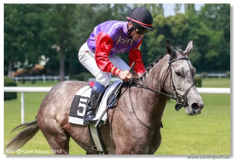 Bratislava - 07. júna 2015 