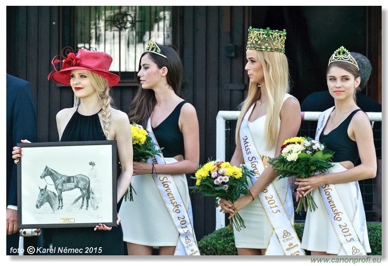 Bratislava - 07. júna 2015 