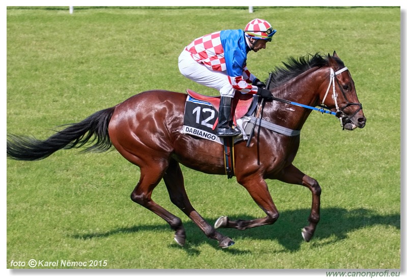 Bratislava - 07. júna 2015 