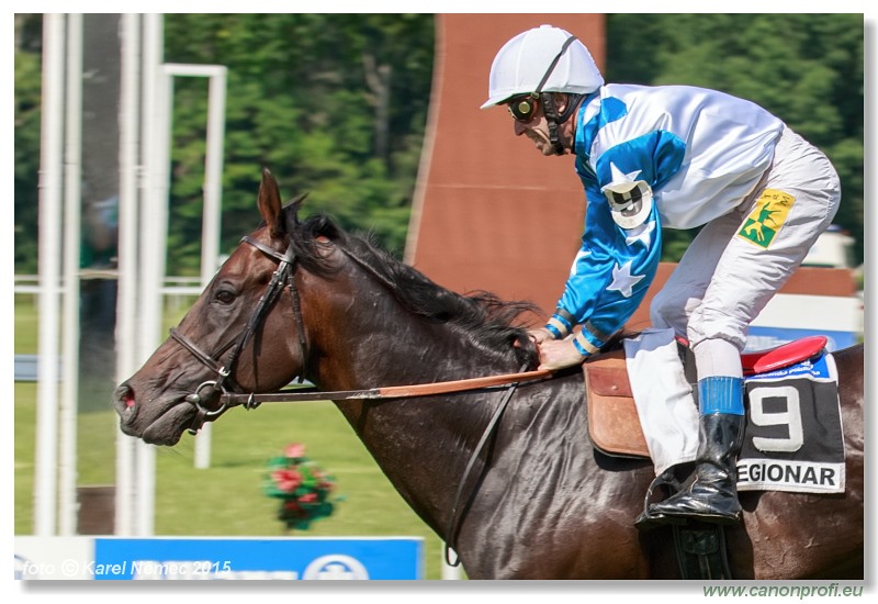 Bratislava - 07. júna 2015 