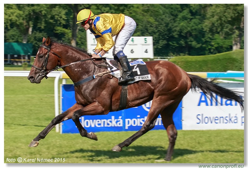 Bratislava - 07. júna 2015 