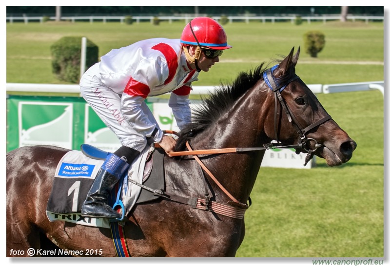 Bratislava - 07. júna 2015 