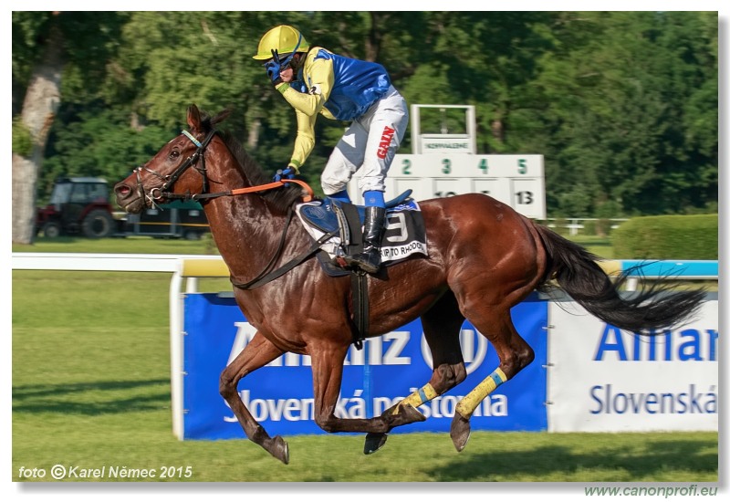 Bratislava - 07. júna 2015 