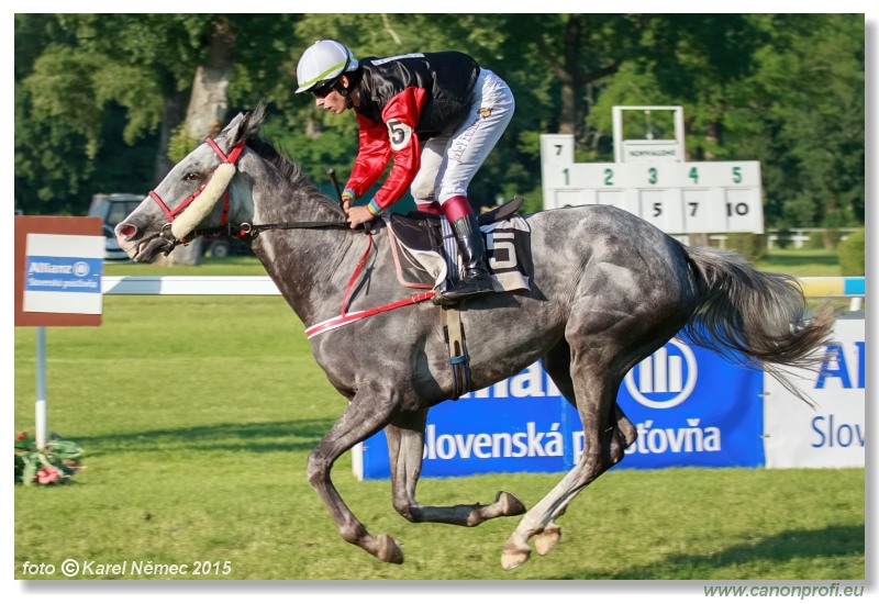 Bratislava - 07. júna 2015 