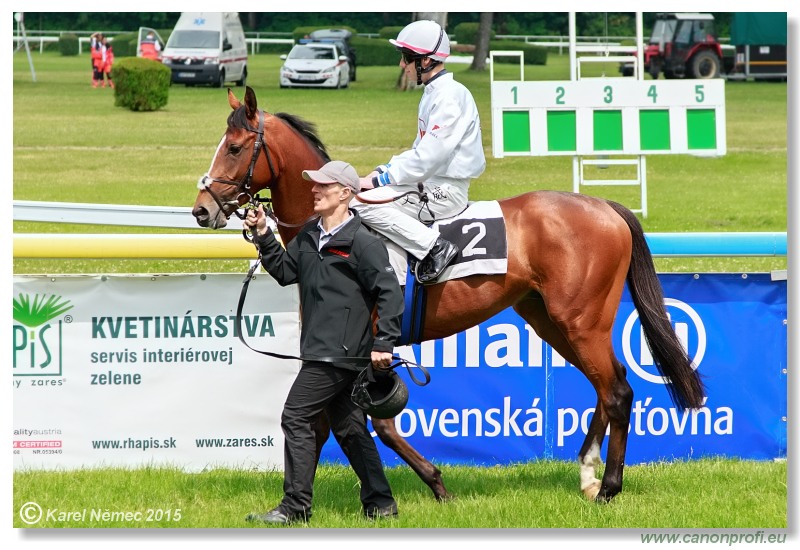 Bratislava - 28. júna 2015 