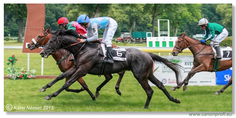 Bratislava - 28. júna 2015 